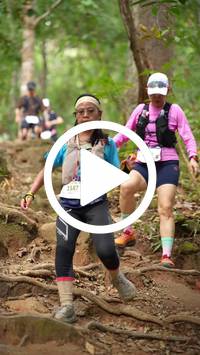 BIB:  <button type="button" onclick="openModal(27585022)" class="btn btn-primary btn-sm float-right" data-toggle="modal" data-target=".modal-high-quality">
                <i class="fa fa-download"></i> Download
                </button>